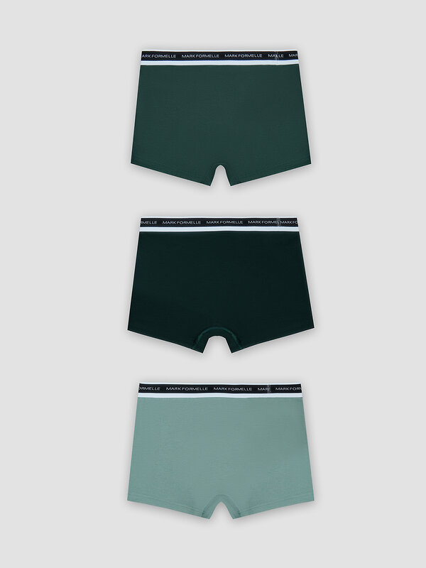 MARK FORMELLE Трусы 586867 411228-3 зеленая пастель +хвойный лес +зеленый бархат