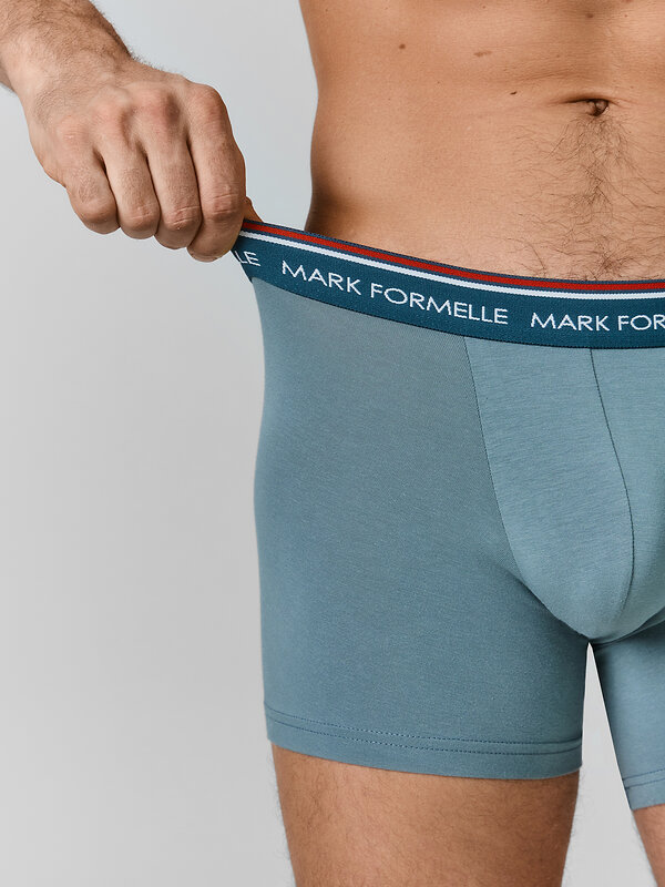 MARK FORMELLE Трусы 586870 411221-4 полынь