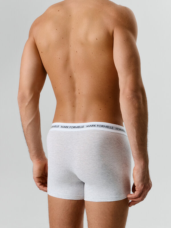 MARK FORMELLE Трусы 586871 411221-4 серый меланж