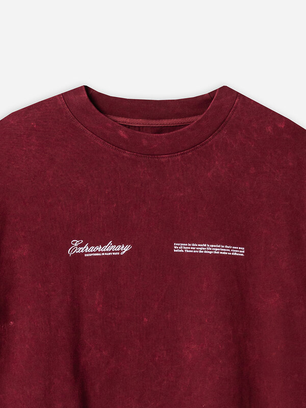 MARK FORMELLE Футболка 586893 111883 ACID WASH портвейн +печать1