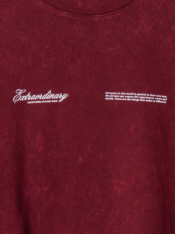 MARK FORMELLE Футболка 586893 111883 ACID WASH портвейн +печать1