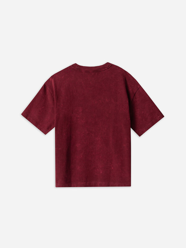 MARK FORMELLE Футболка 586893 111883 ACID WASH портвейн +печать1