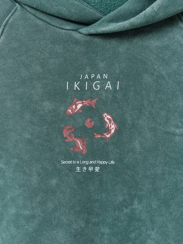 MARK FORMELLE Худи 586898 121825 ACID WASH травяной +печать