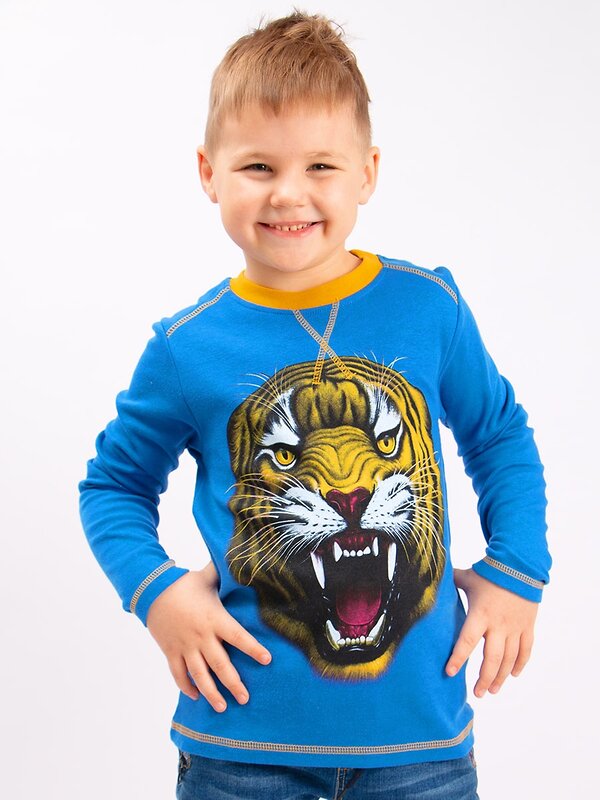 Bonito Джемпер 587102 BK180K синий