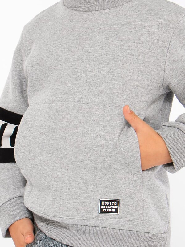 Bonito Толстовка 587233 BK1515T серый меланж