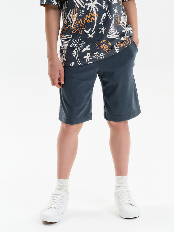 PELICAN Шорты 587565 BFH3369/1/1U Серый