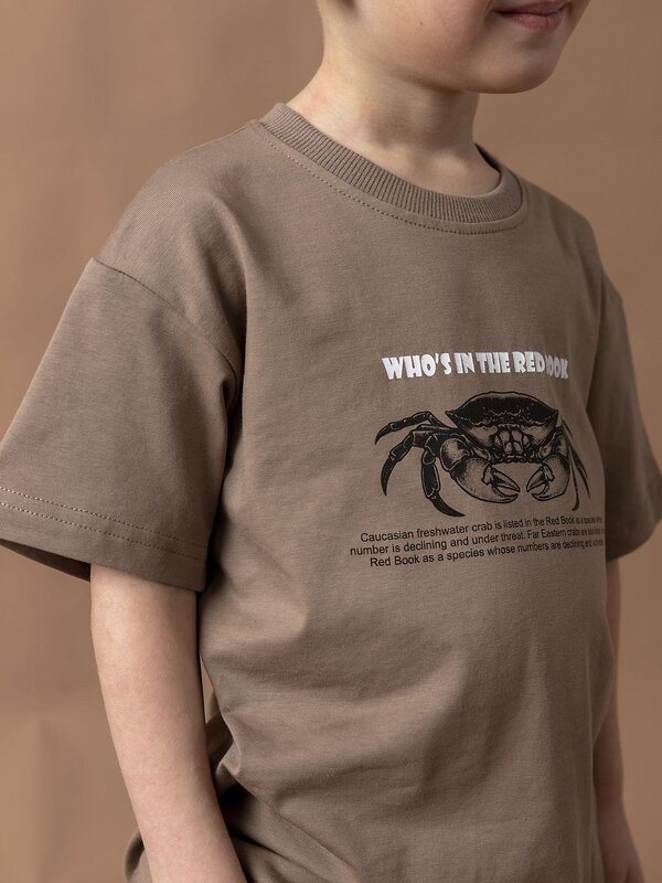 BATIK Футболка 588564 038_ЛС26 Какао