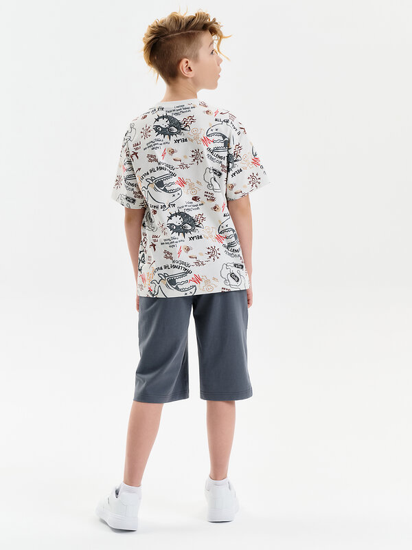 PELICAN Шорты 588575 BFH3352//1U Серый