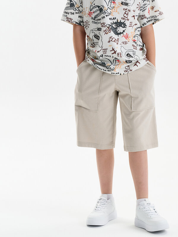 PELICAN Шорты 588576 BFH3352//2U Светло-серый