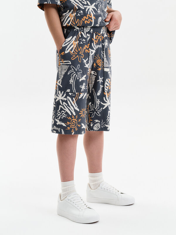 PELICAN Шорты 588585 BFH3389/1U Серый