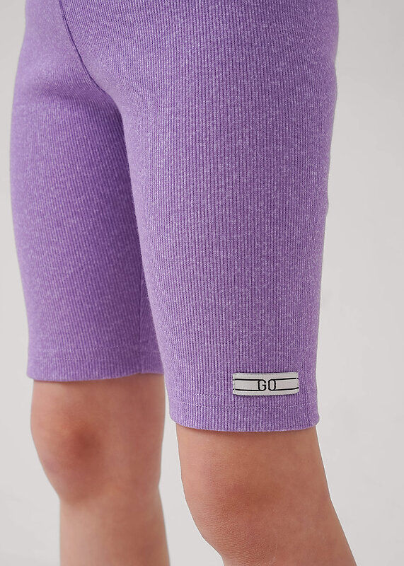 CLEVER Бриджи 588796 867408/15шн фиолетовый/св.фиолетовый