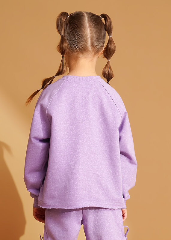 CLEVER Джемпер 588840 867416/15ан_п фиолетовый/св.фиолетовый