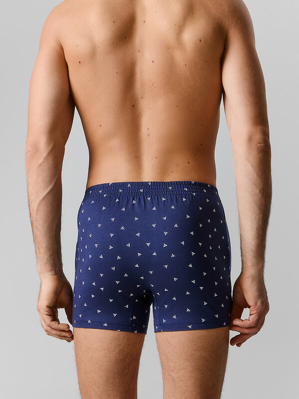 MARK FORMELLE Трусы 589143 411152 треугольники на затмении