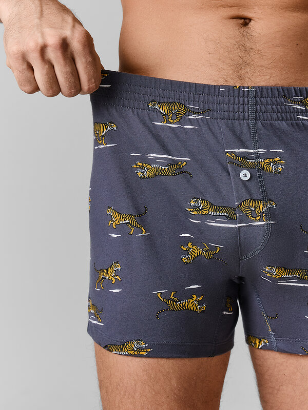 MARK FORMELLE Трусы 589145 411152 тигры на графите