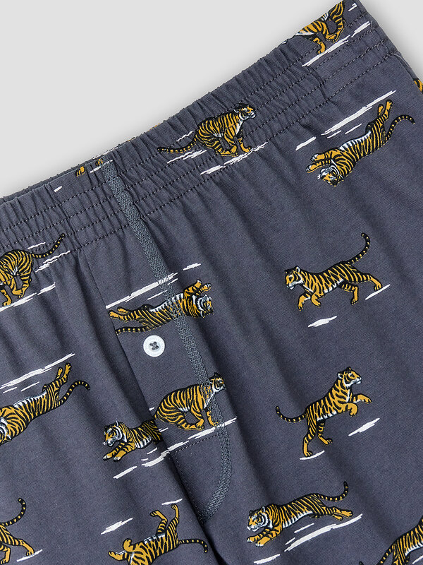 MARK FORMELLE Трусы 589145 411152 тигры на графите