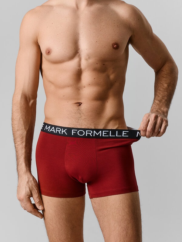 MARK FORMELLE Трусы 589150 411228-3 портвейн +гроза +черный