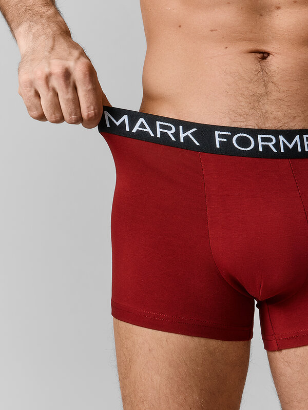 MARK FORMELLE Трусы 589150 411228-3 портвейн +гроза +черный