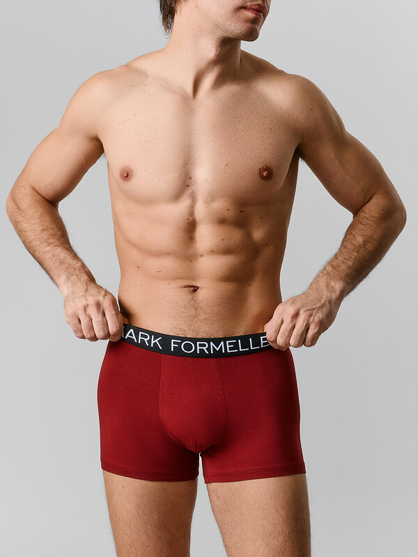 MARK FORMELLE Трусы 589150 411228-3 портвейн +гроза +черный