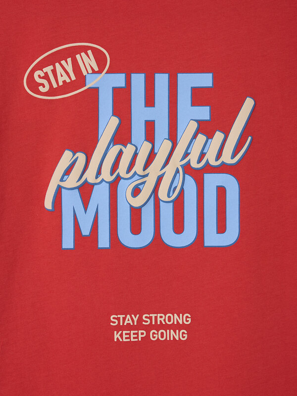 MARK FORMELLE Футболка 589160 113433 красный минерал +печать