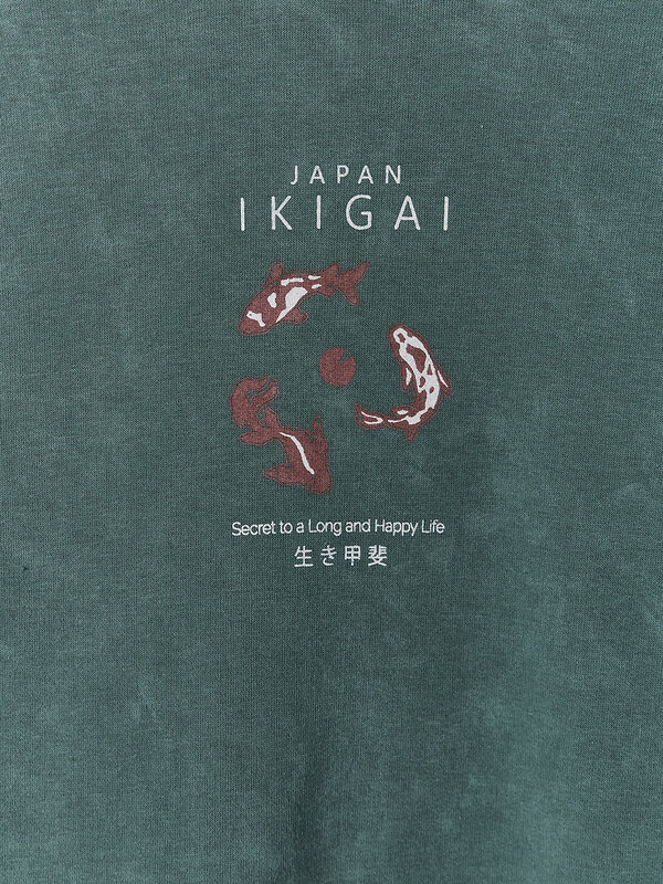 MARK FORMELLE Худи 589186 121825 ACID WASH травяной1 +печать