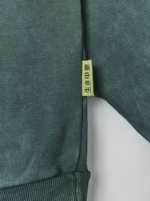 MARK FORMELLE Худи 589186 121825 ACID WASH травяной1 +печать