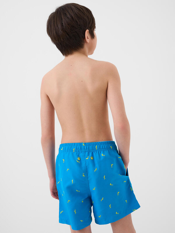 PLAYTODAY Шорты плавательные 589886 12611368 ярко-синий,светло-зеленый