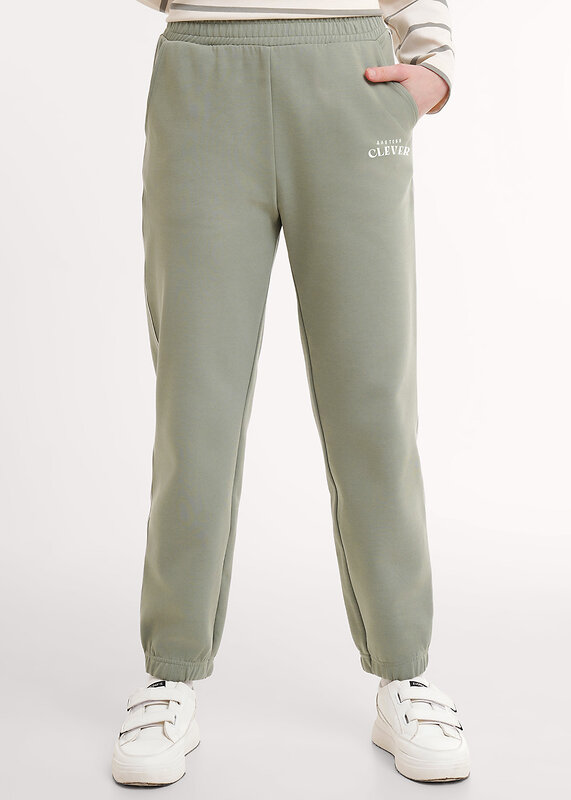 CLEVER Брюки 590401 LTR26-100/2 хаки