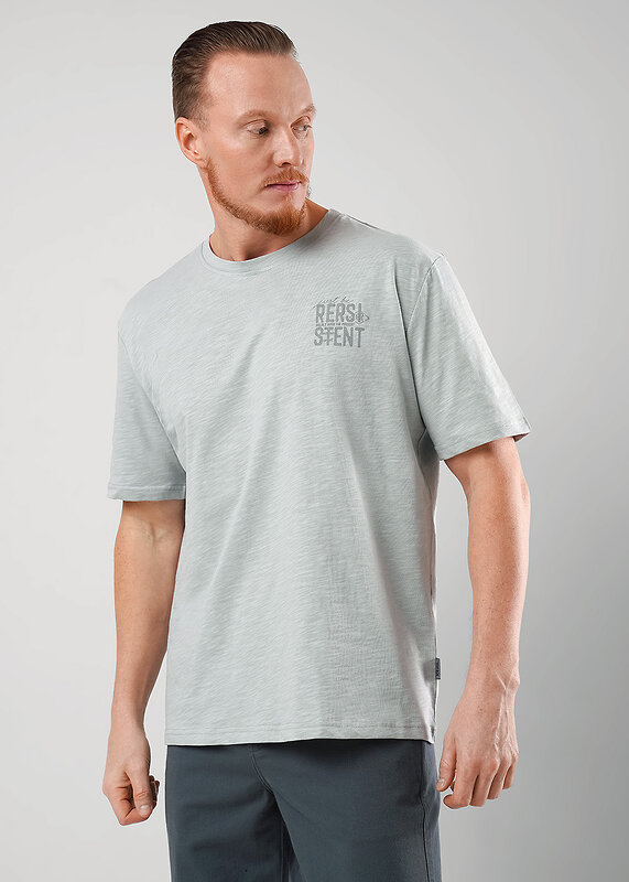 CLEVER Футболка 590405 562301/13о maxi_п св.серый