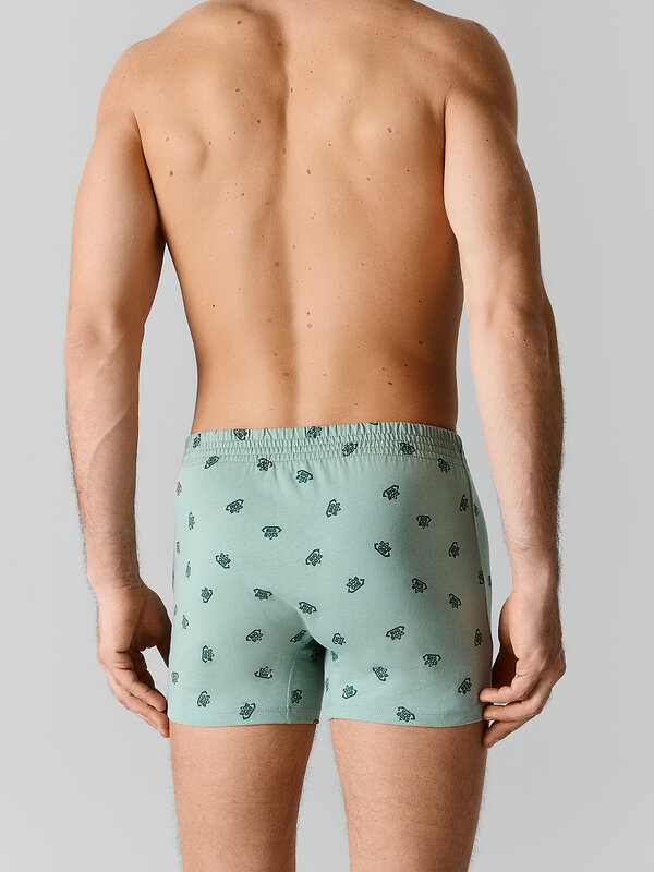 MARK FORMELLE Трусы 590608 411152 биг босс на зеленом