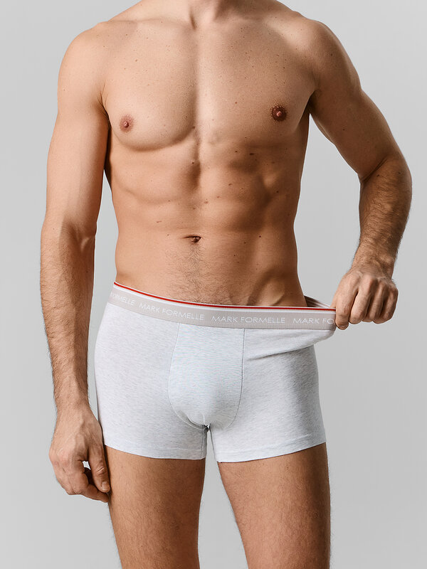 MARK FORMELLE Трусы 590612 411228-5 св.серый меланж