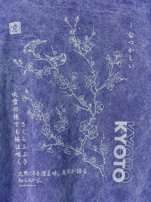 MARK FORMELLE Футболка 590634 111927 ACID WASH глубокий фиолетовый +печать