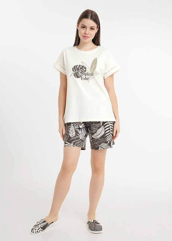 CLEVER Набор 590702 LP26-1231 молочный/т.коричневый