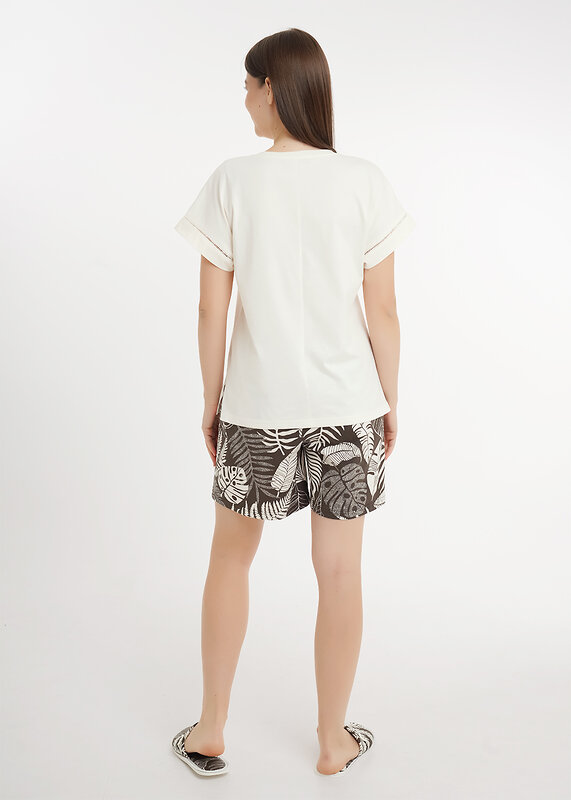 CLEVER Набор 590702 LP26-1231 молочный/т.коричневый