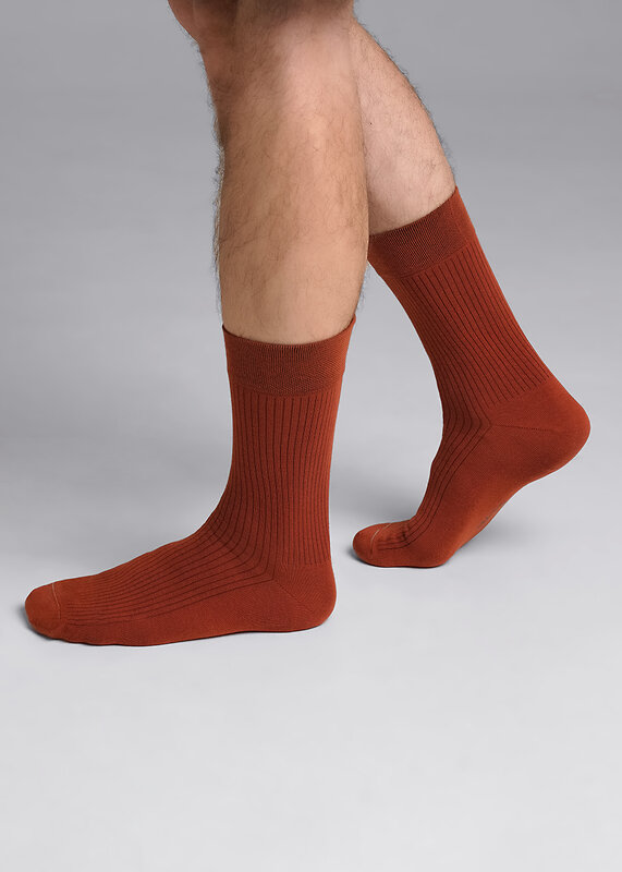 CLEVER Носки 590750 К009Л коричневый