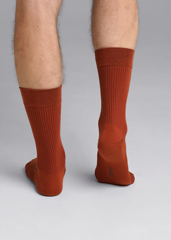 CLEVER Носки 590750 К009Л коричневый