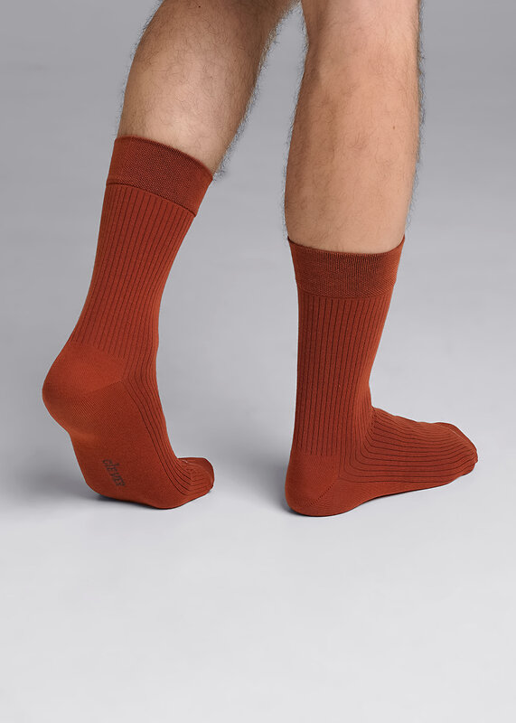 CLEVER Носки 590750 К009Л коричневый