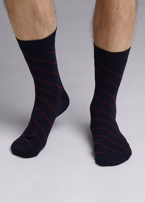 CLEVER Носки 590759 К6401Л т.синий