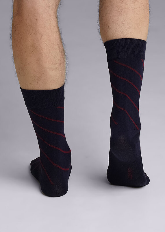 CLEVER Носки 590759 К6401Л т.синий