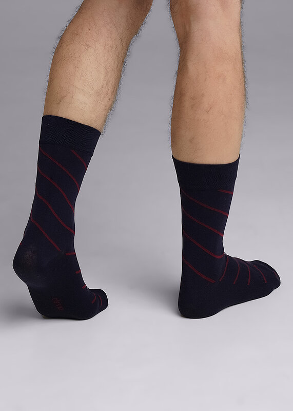 CLEVER Носки 590759 К6401Л т.синий