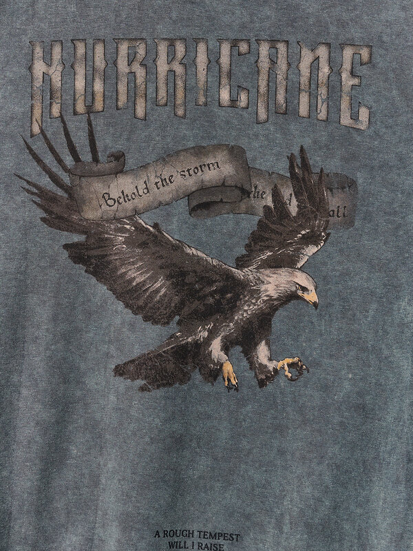 MARK FORMELLE Свитшот 591459 121873/1 ACID WASH графит +печать