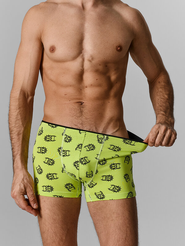 MARK FORMELLE Трусы 591532 411134 собачки на зеленом лайме