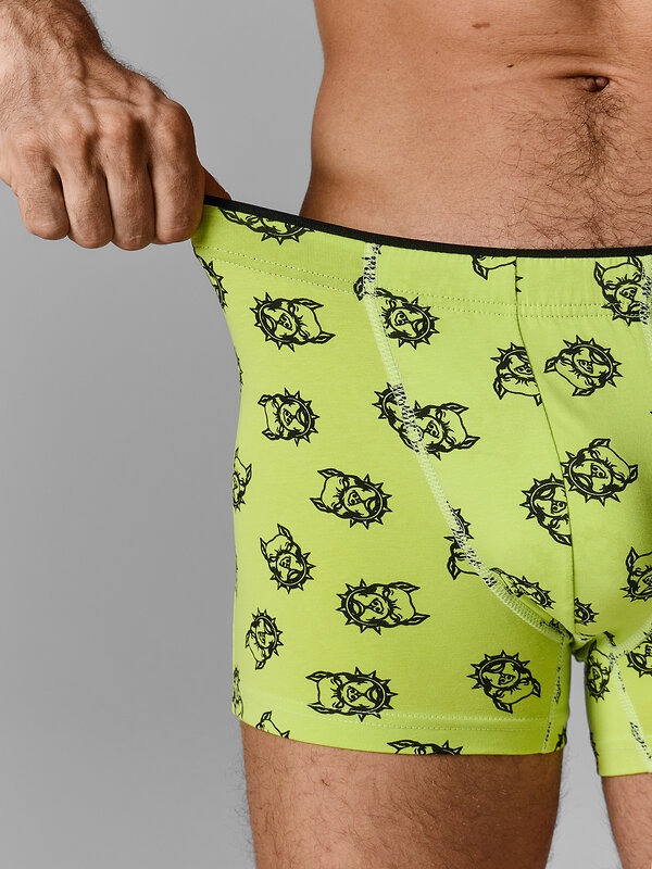 MARK FORMELLE Трусы 591532 411134 собачки на зеленом лайме
