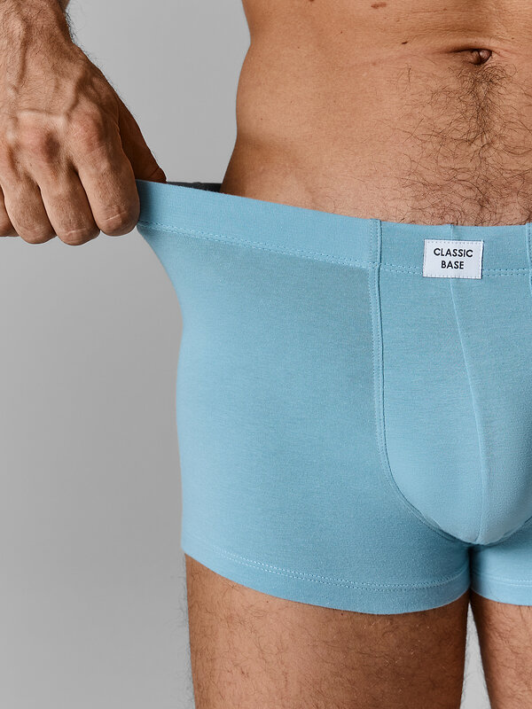 MARK FORMELLE Трусы 591535 411229 полынь