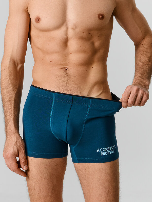 MARK FORMELLE Трусы 591542 411134-2 изумруд +доберманы на серо -бирюзовом