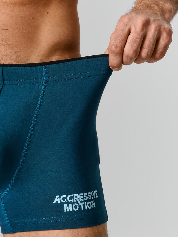 MARK FORMELLE Трусы 591542 411134-2 изумруд +доберманы на серо -бирюзовом