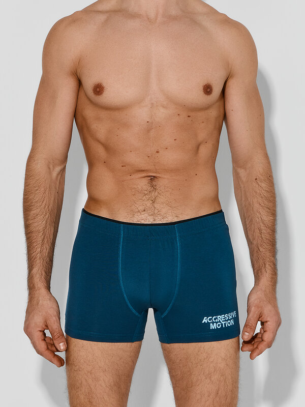 MARK FORMELLE Трусы 591542 411134-2 изумруд +доберманы на серо -бирюзовом