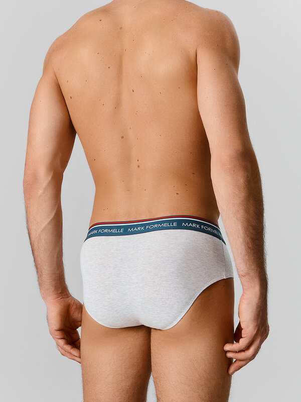 MARK FORMELLE Трусы 591547 411170-3 серый меланж+полынь +морская волна