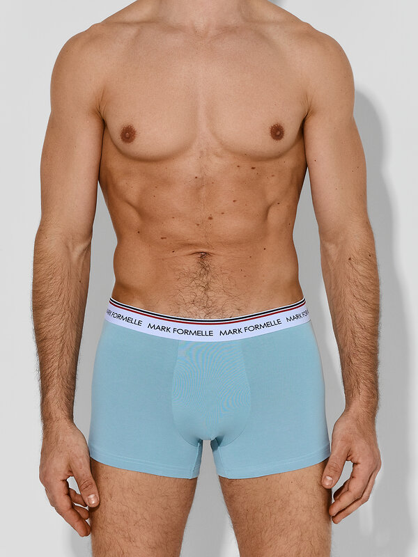 MARK FORMELLE Трусы 591549 411228-4 полынь +морская волна +гроза +черный