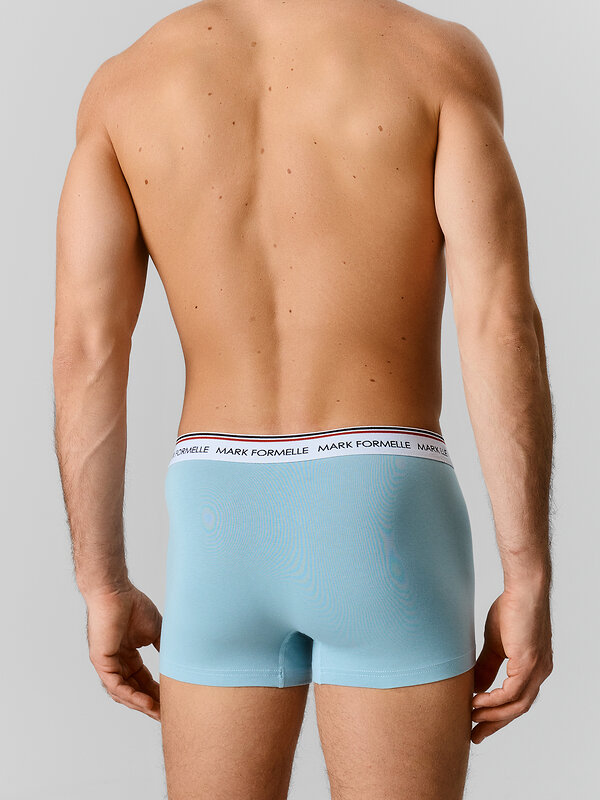 MARK FORMELLE Трусы 591549 411228-4 полынь +морская волна +гроза +черный