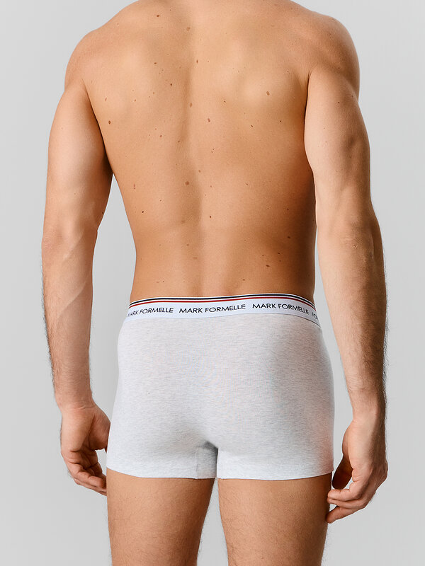 MARK FORMELLE Трусы 591550 411228-4 серый меланж